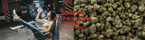 a pvp Киреевск